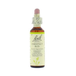 Fleurs de Bach – Chestnut Bud