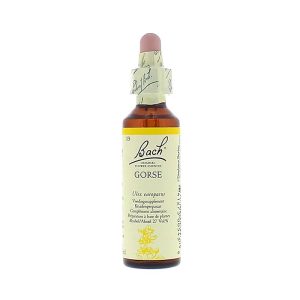 Fleurs de Bach – Gorse